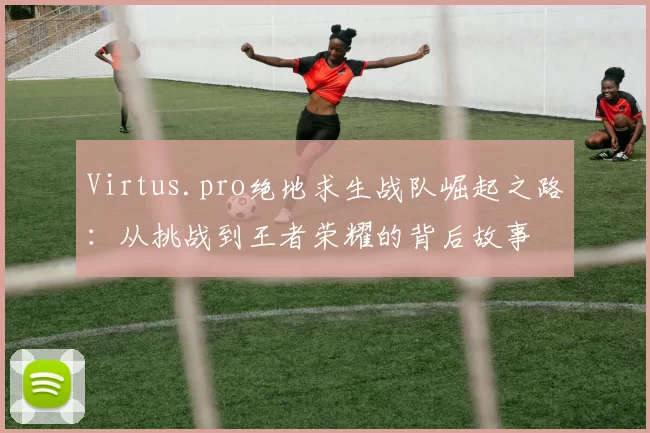 Virtus.pro绝地求生战队崛起之路：从挑战到王者荣耀的背后故事