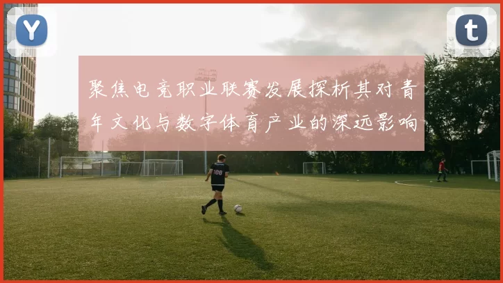聚焦电竞职业联赛发展探析其对青年文化与数字体育产业的深远影响