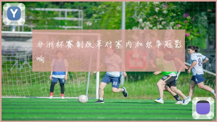非洲杯赛制改革对塞内加尔争冠影响