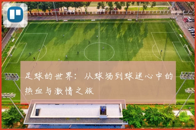 足球的世界：从球场到球迷心中的热血与激情之旅