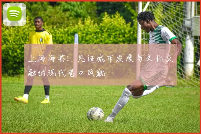 上海海港：见证城市发展与文化交融的现代港口风貌