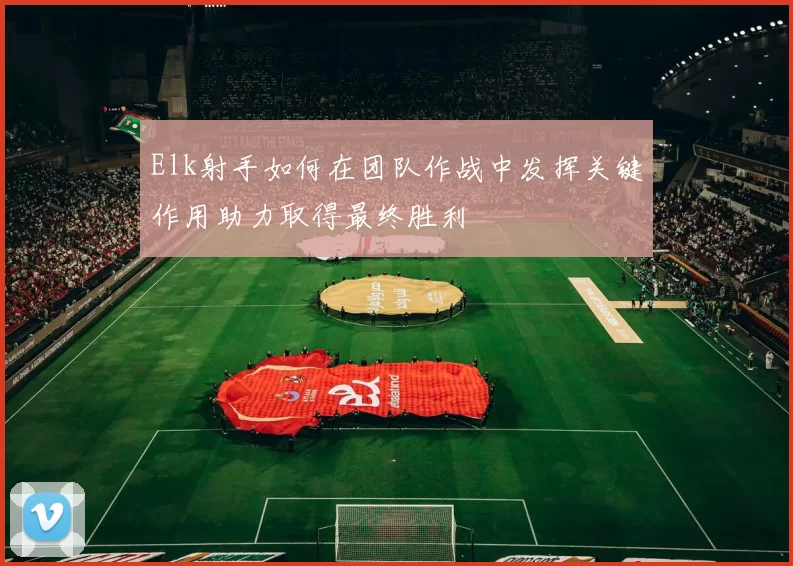 Elk射手如何在团队作战中发挥关键作用助力取得最终胜利