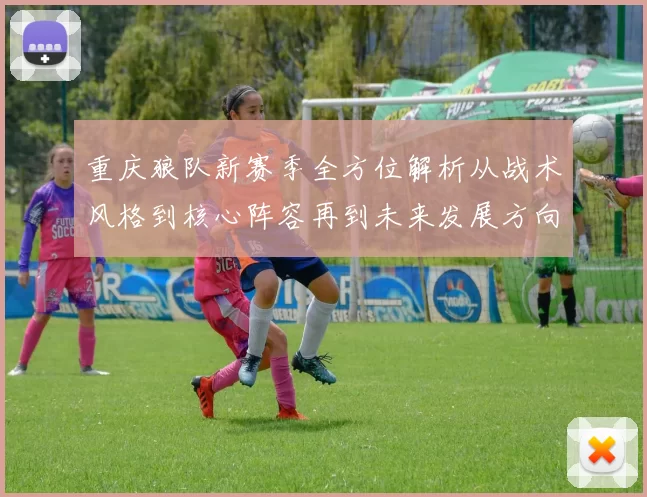 重庆狼队新赛季全方位解析从战术风格到核心阵容再到未来发展方向